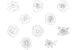 Rose Outlines Set 1 Procreate Brush