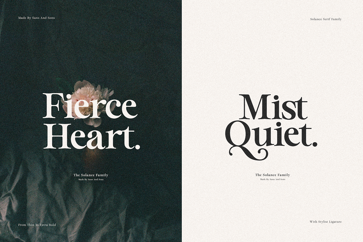 Solance Serif, a Serif Font by Sans & Sons (Photo 5 of 10)