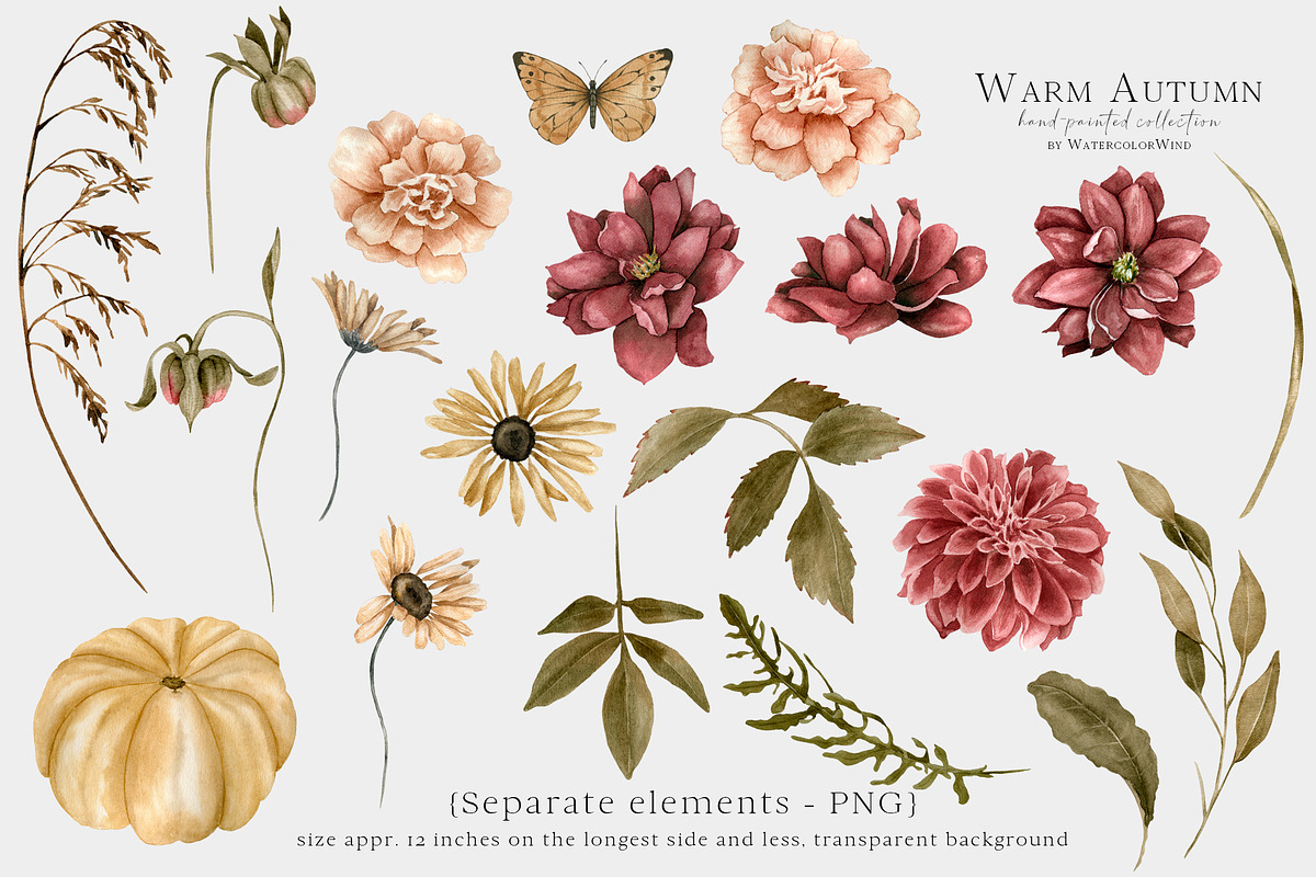 Fall Clipart Dahlia Flowers, an Illustration by WatercolorWind (Photo 7 of 11)