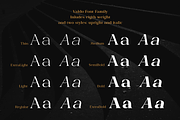 Valdo Font Family, a Serif Font by Larin Type Co. (Thumbnail 3 of 15)