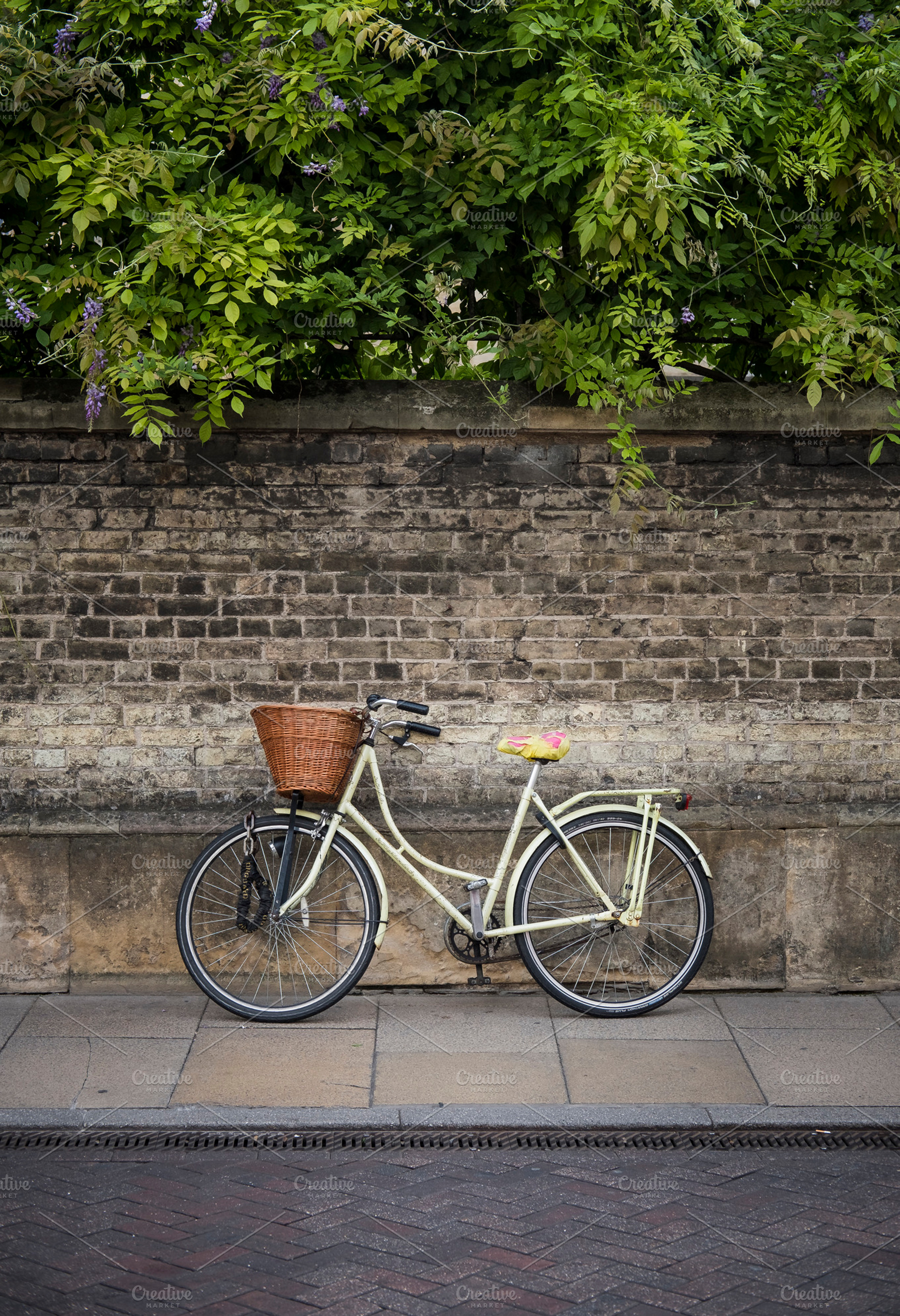 Re-cycle, a Transportation Photo by The Image Shop