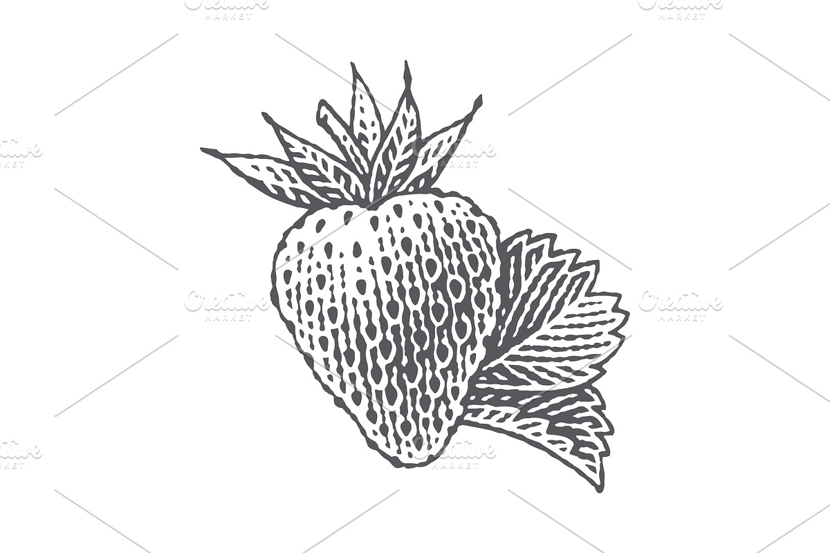 Strawberry and Orange, a Food Illustration by Irina Trusova (Photo 5 of 5)