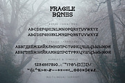 Fragile Bones, a Font by chekart (Thumbnail 9 of 9)