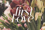 Jemina - Modern Branding Family, a Serif Font by creativemedialab (Thumbnail 11 of 15)