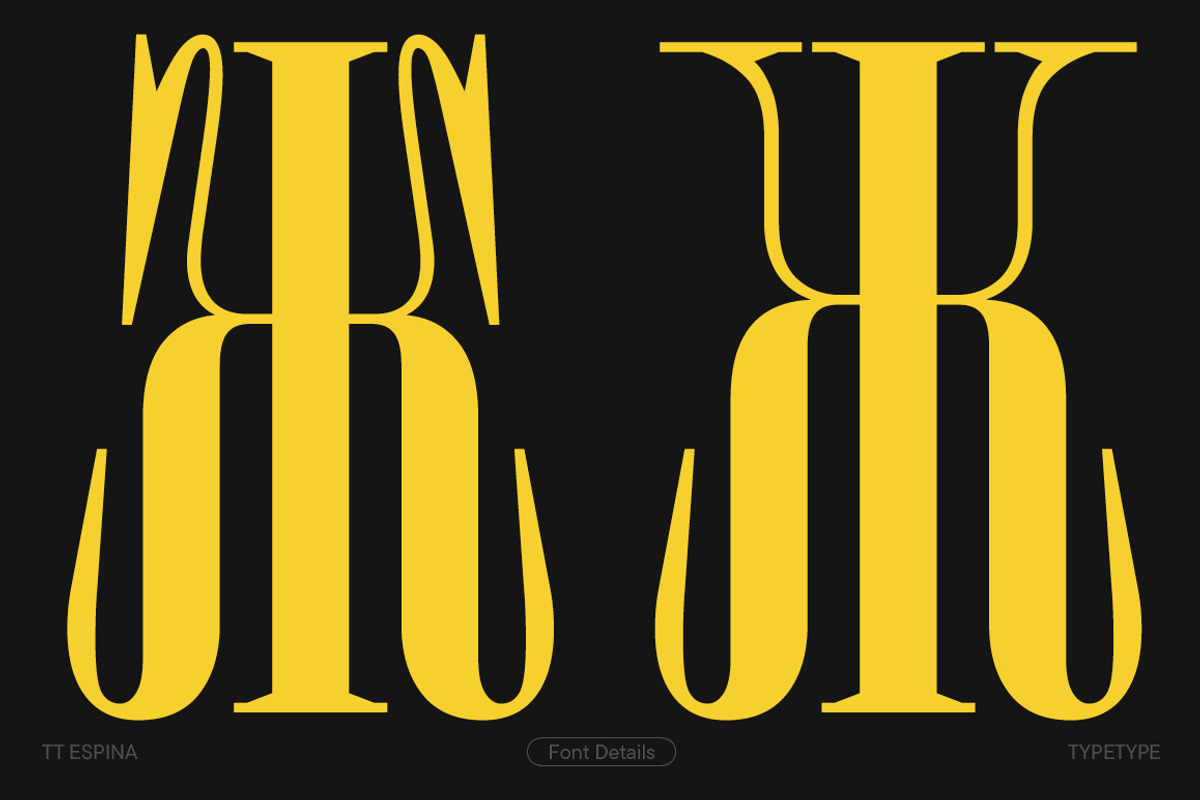 TT Espina, a Serif Font by TypeType (Photo 5 of 15)