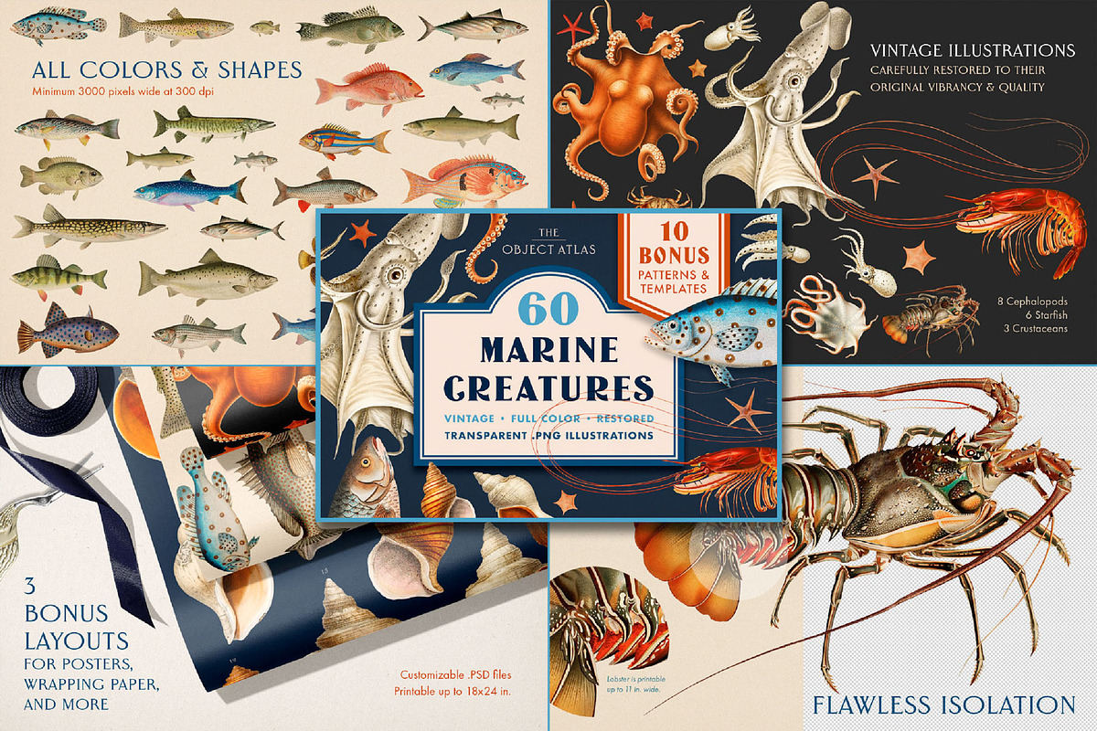 Vintage Bundle – 60% Off! – 21 Packs, an Object Graphic by The Object Atlas (Photo 12 of 26)