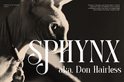 Fortun Kilfon | Modern Elegant Serif, a Serif Font by Denustudios (Thumbnail 7 of 15)