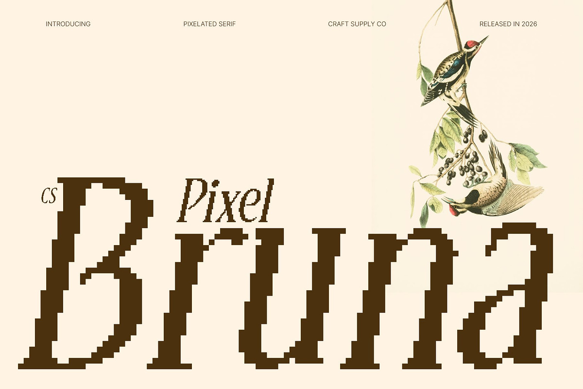 CS Bruna Pixel, a Serif Font by Craft Supply Co. (Photo 1 of 8)