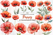 Poppy Flowers Clipart, an Illustration by Designworld (Thumbnail 1 of 4)