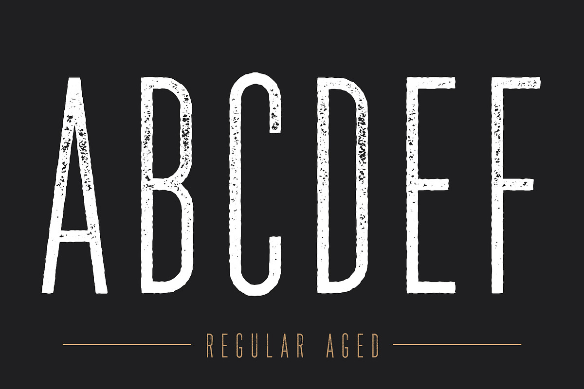 The National | Condensed Type Family, a Sans Serif Font by Hustle Supply Co. (Photo 14 of 15)