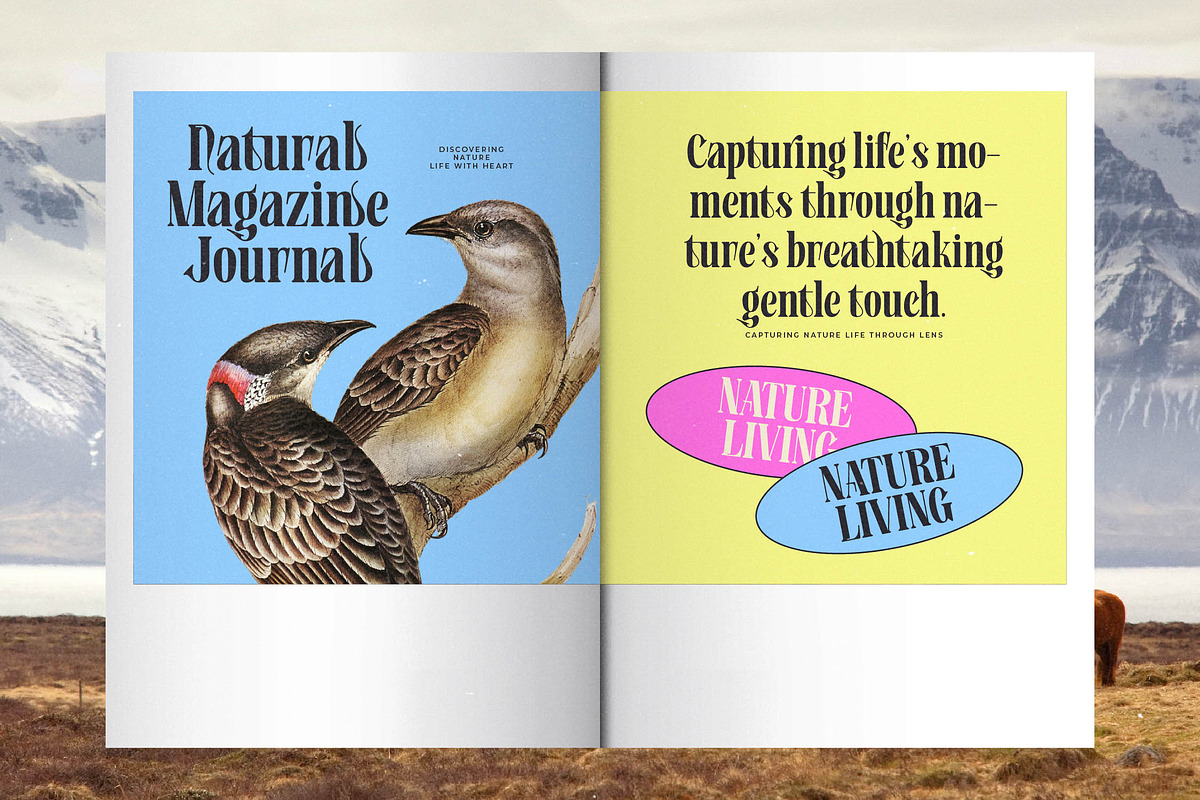 Bistoric Historic Modern Serif, a Serif Font by timelesstype.co (Photo 7 of 20)