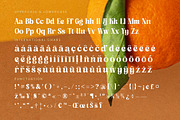 Dusty Brothe Groovy Serif Display, a Serif Font by timelesstype.co (Thumbnail 19 of 20)