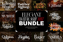 Elegant Ligature Serif  Font Bundle