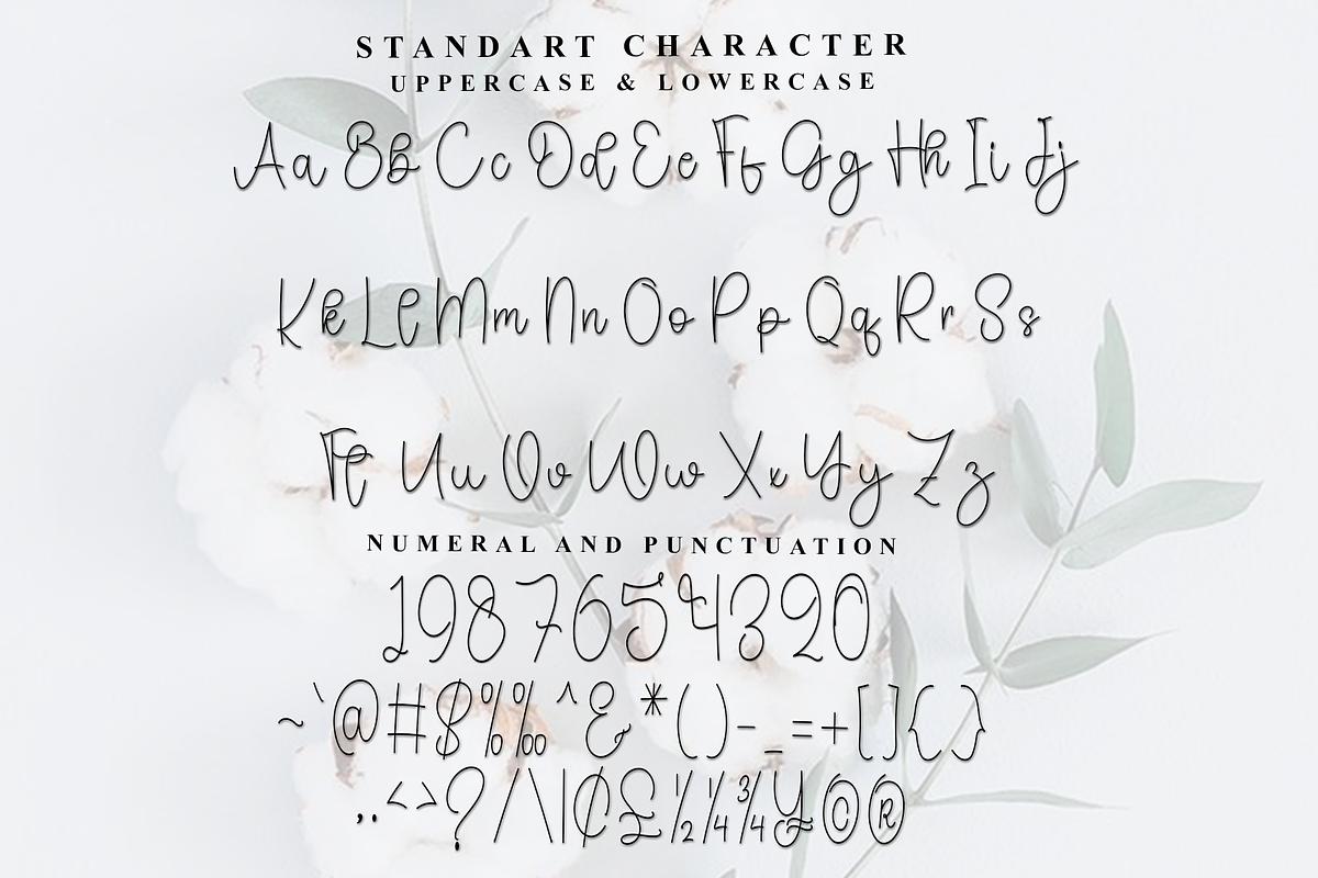 Alice, a Handwritten Font by InermediaSTUDIO (Photo 6 of 7)