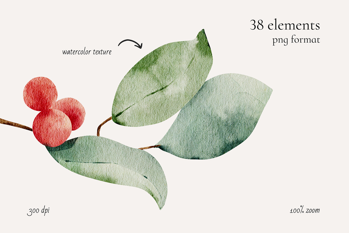 Watercolor Winter Collection, an Object Illustration by bloomscape (Photo 3 of 10)