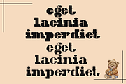 British Writers Font, a Slab Serif Font by 177Studio (Thumbnail 3 of 8)