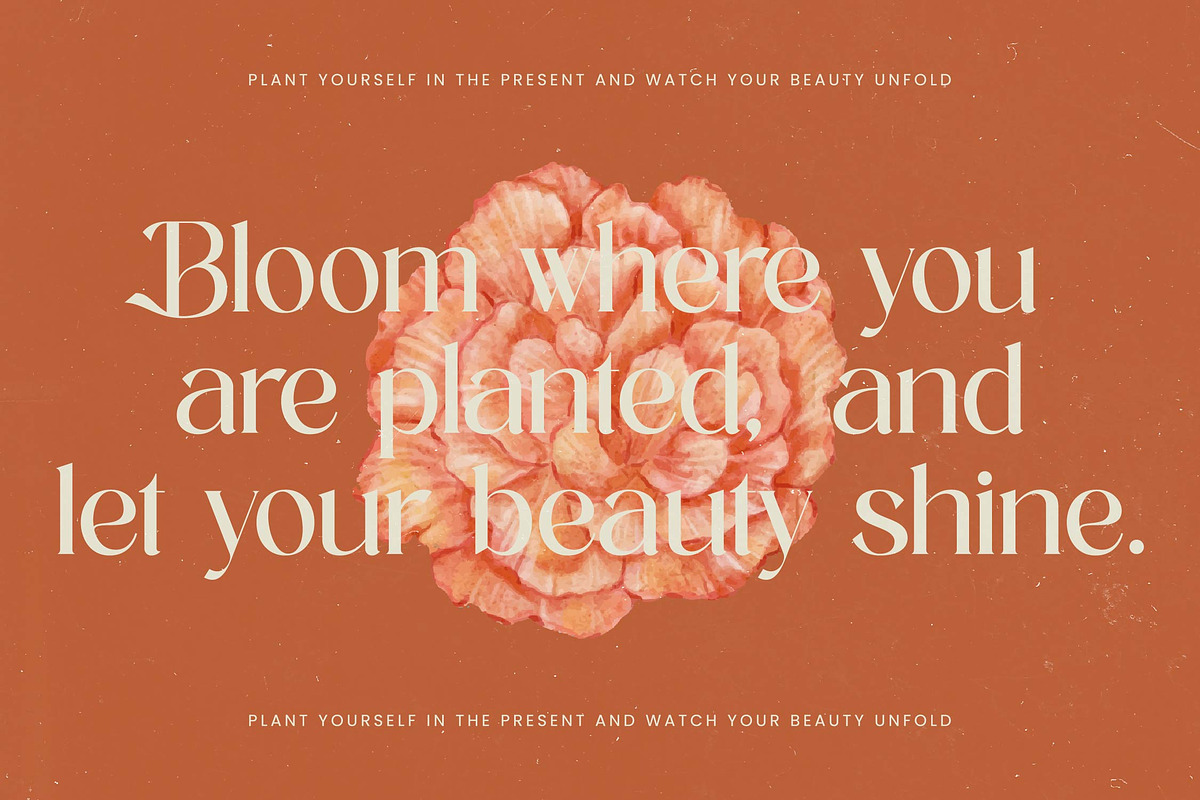 Achieve Fabrics Modern Serif, a Serif Font by timelesstype.co (Photo 10 of 20)