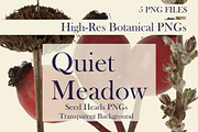Quiet Meadow — Seed Heads PNGs, an Object Graphic by Aga Silva (Thumbnail 1 of 4)