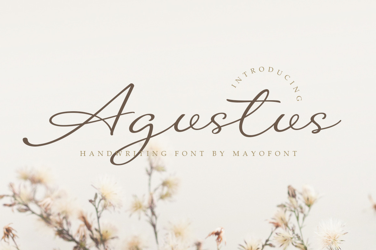Agustus - Handwriting Font, a Handwritten Font by Mayofont (Photo 1 of 9)