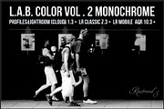 LAB Color V. 2 - Monochrome profiles, a Plug-in Add-On by Raztrend (Thumbnail 1 of 30)