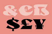 Caleit - Variable Font, a Serif Font by Get Studio (Thumbnail 15 of 20)
