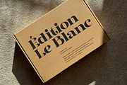Dynasti Display Font, a Serif Font by Megatype (Thumbnail 3 of 11)
