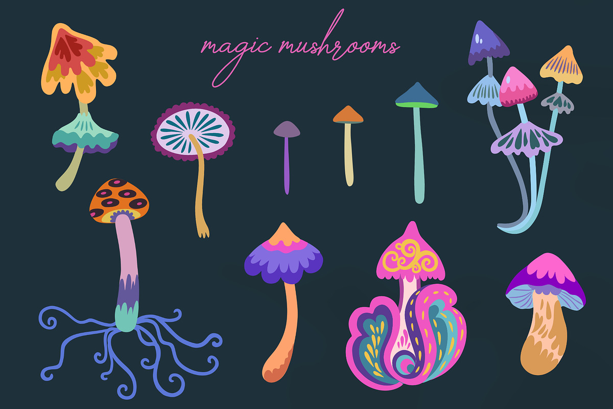 Magic forest collection, a Pattern Graphic by Robusta (Photo 13 of 14)