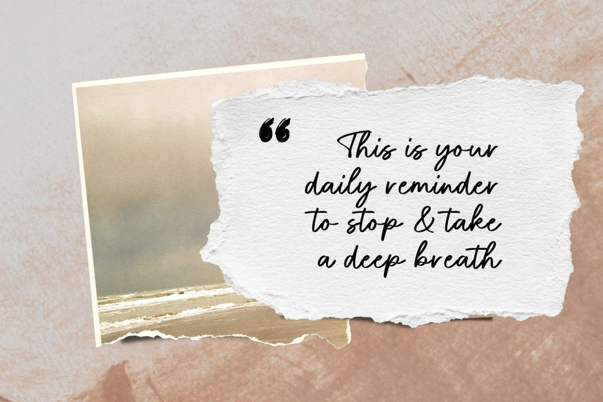 Bleury Saint Modern Script Font, a Script Font by Heinzel Std (Photo 6 of 14)