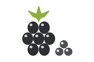 Blackberry line icons in different, a Food Illustration by okskukuruza