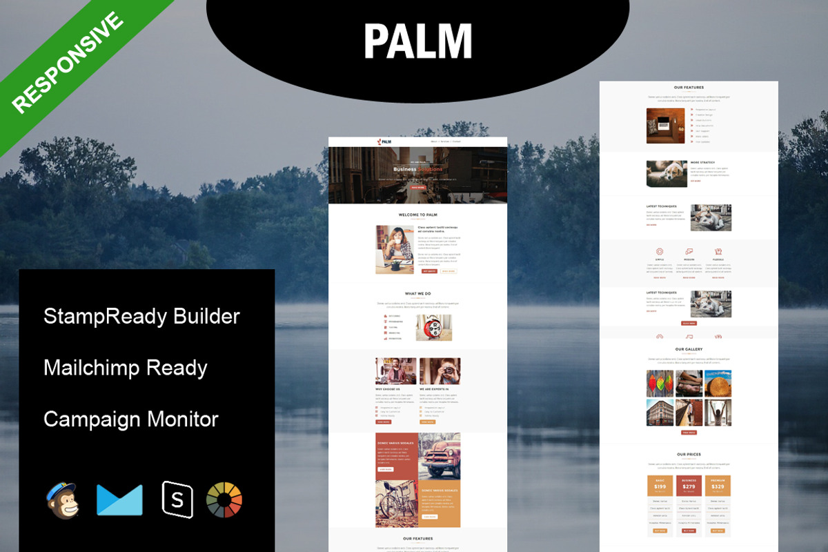 PALM - Responsive Email Template, an Email Template by FourDinos (Photo 1 of 3)