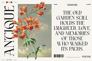 Atteliora Elegant Serif Font, a Serif Font by Heinzel Std (Thumbnail 3 of 13)