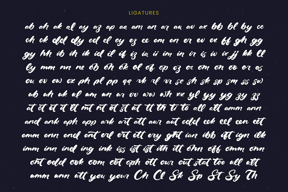 Drink South Bold Calligraphy Font, a Script Font by Letterena Studios Script (Photo 11 of 20)