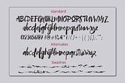 Nightly Poem, a Script Font by joelmaker (Thumbnail 6 of 6)