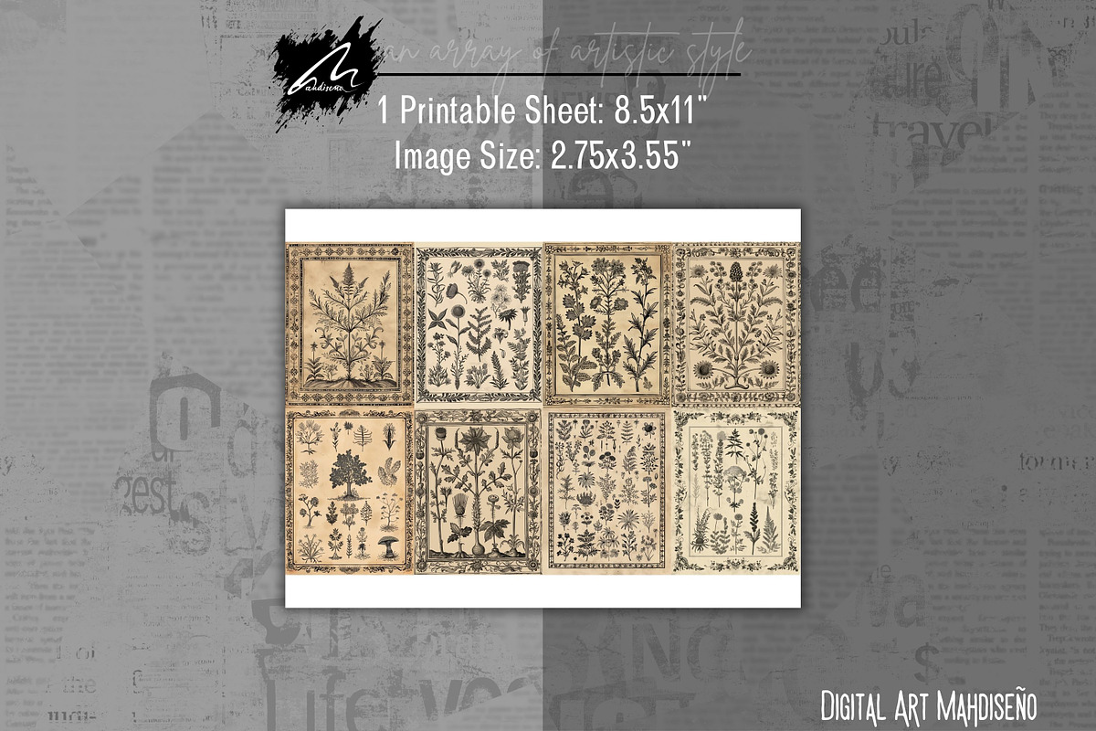 Whimsical botanical Ephemera Pages, a Pattern Graphic by Digital Art Mahdiseño (Photo 5 of 11)