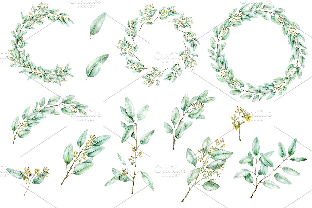 Eucalyptus Watercolor Illustrations, a Decorative Illustration by DioFlow (Photo 2 of 11)