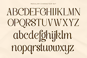 Classy Exclusive - Luxury Serif Font, a Serif Font by Say Studio (Thumbnail 11 of 13)