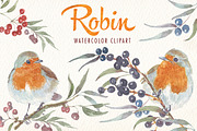watercolor robin bird clipart, an Illustration by Art & Things (Thumbnail 3 of 10)