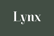Lynx, a Serif Font by Typomancer (Thumbnail 1 of 5)