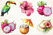 Watercolor Tropical Summer Clipart, an Illustration by Rose Art (Thumbnail 3 of 7)