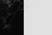 120 Spider Web PNG Digital Download, an Object Graphic by Gonez Studio (Thumbnail 5 of 5)