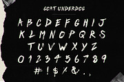 UNDERDOG - A FIERCE BRUSH FONT, a Font by GOAT Design Co. (Thumbnail 4 of 4)