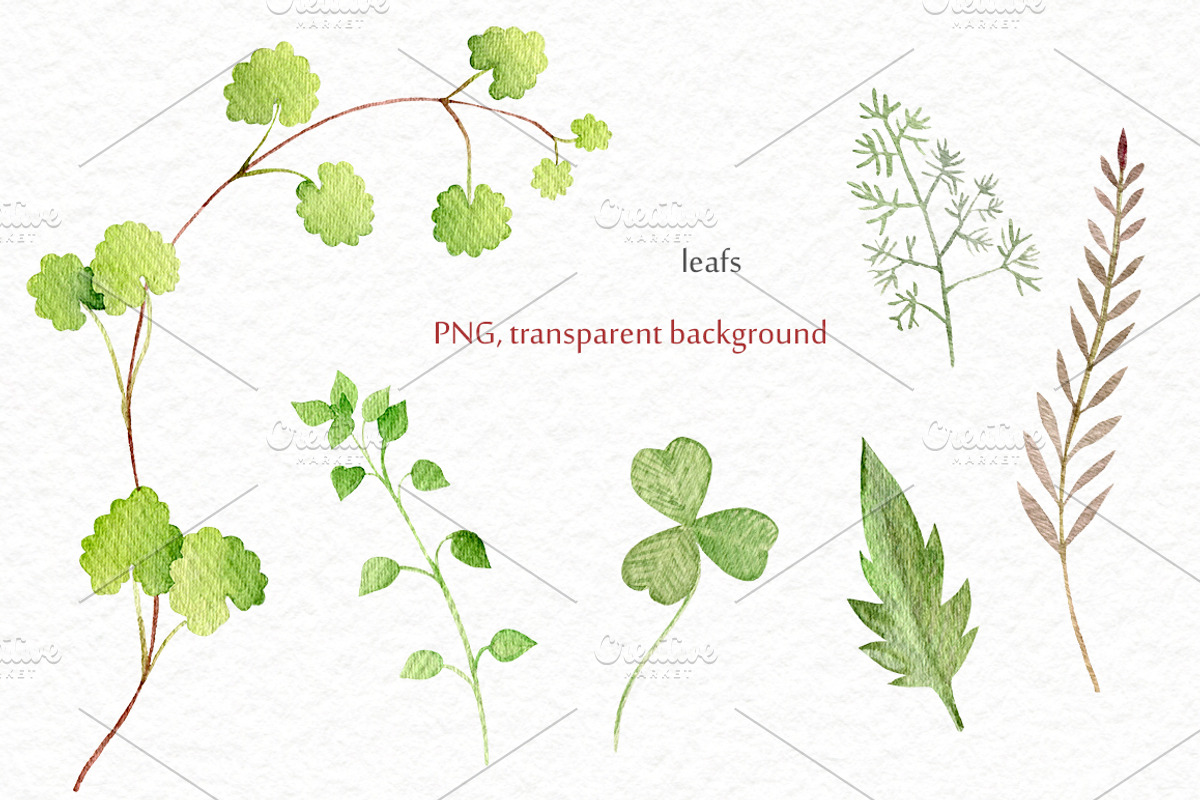 Wild flowers watercolor set, a Background Graphic by Elegantia (Photo 4 of 15)