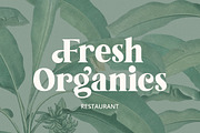 Tropical Garden font, a Serif Font by Davide Bassu (Thumbnail 4 of 15)