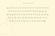 Allenia Serif - Modern Font, a Serif Font by Youthlabs Studio (Thumbnail 17 of 21)