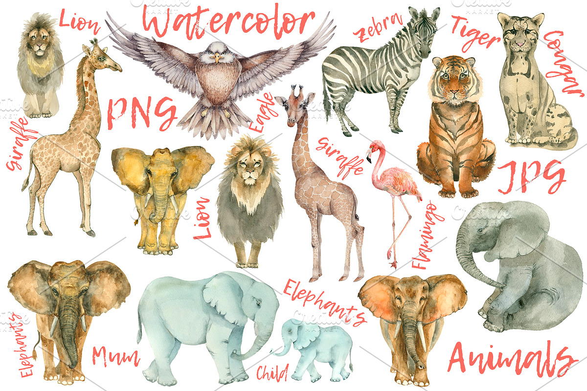 African animals collection. 15 items, an Animal Illustration by IvanFet