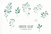 Green Leaf Watercolor clipart, an Illustration by everysunsun (Thumbnail 4 of 4)