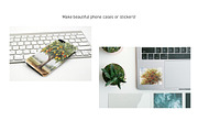 Watercolor Trees, Fruit Trees, Set 2, a Decorative Illustration by Kat's Artful Creations (Thumbnail 7 of 9)
