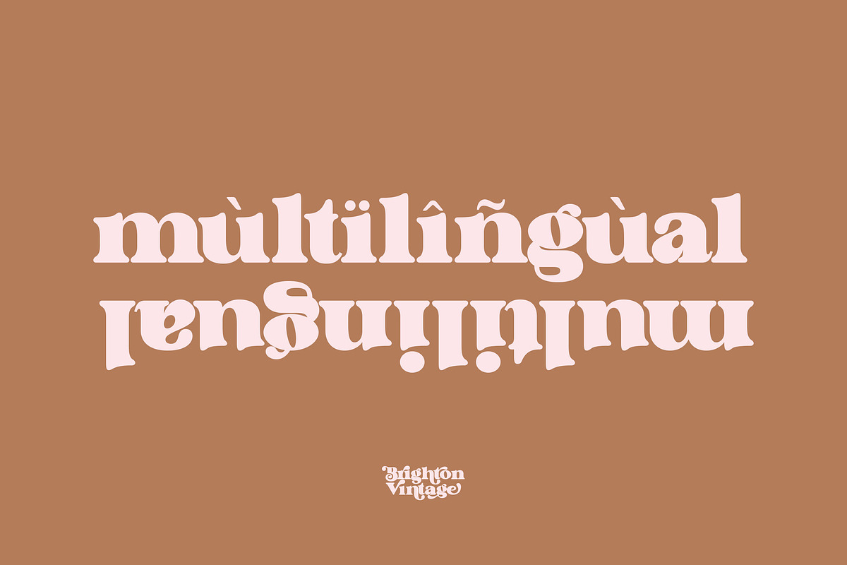 Brighton Vintage - Modern Serif Font, a Serif Font by dealitastudio (Photo 9 of 10)