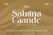 Cartin Elegant Serif Font, a Serif Font by Perfectype (Thumbnail 4 of 8)