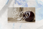 Hortus - Hand Script, a Script Font by Lilithcollageart (Thumbnail 9 of 9)